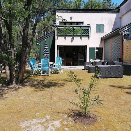 Superbe Appartement Dans La Pinede, Proche Ocean Lacanau Dış mekan fotoğraf